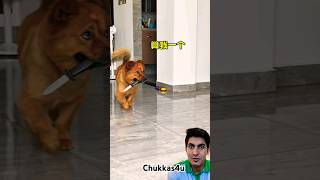 dog k kam Check kro😎😱😱 shorts viralvideo viralshort dog video short subscribe [upl. by Yelir999]