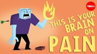 How does your brain respond to pain  Karen D Davis [upl. by Yelad]