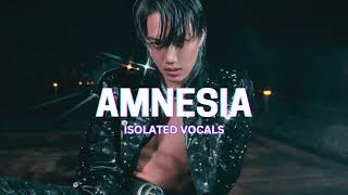 Amnesia  KAI Isolated Vocals [upl. by Delwyn]