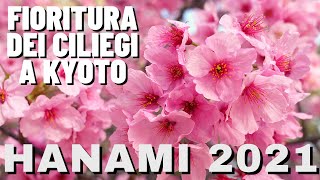 La fioritura dei ciliegi a Kyoto 🌸 Hanami 2021  ONE DAY OF MY LIFE 🌍 [upl. by Hebner]