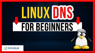 Linux DNS Server Configuration for Beginners [upl. by Annim]