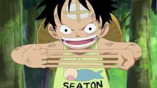 Luffy vs Sabo English Subbed [upl. by Johanna]