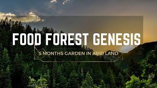 Growing Food Forest in a SEMI ARID Area  Lessons Learned [upl. by Austina]