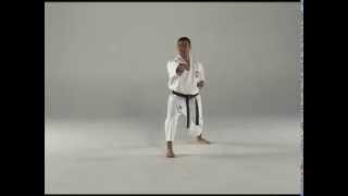 1st Kata  Taigyoku Shodan [upl. by Kirwin863]