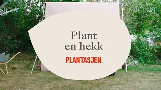 Plant en hekk [upl. by Jephum]