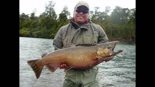 Pesca de Chinook Río Petrohue Chile [upl. by Los206]