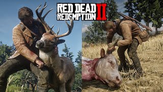 RDR 2  Satisfying SKINNING All Animals PART1 Physics amp Details [upl. by Ecnar]