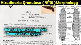 Hirudinaria granulosa Morphology in Hindi  Leech Morphology  BSc 3rd year Zoology 5th semester [upl. by Tatiania950]