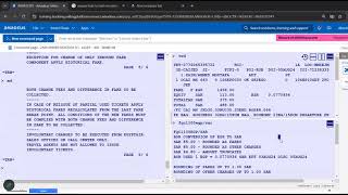 Split and Auto Reissue Amadeus course 2nd session [upl. by Nosemyaj]