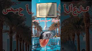 Sabbe hisma Rabbe reels quran shorts viralvideo alquran surah trending trend sabbehisma [upl. by Bret149]