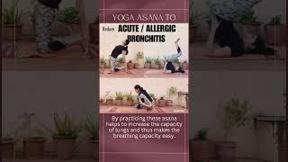 Yogasana to Reduce Acute or Allergic BRONCHITIS [upl. by Amie560]