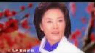 彭丽媛演唱的《红梅赞》MV Hong Mei Zan，classic chinese song [upl. by Nnaxor293]