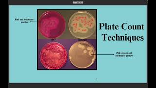 11 Detection and Determination of Bacillus cereus in water [upl. by Macmullin]