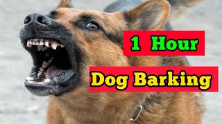 1 Hour Dog Barking Compilation  Barking Sounds to Watch [upl. by Icrad]