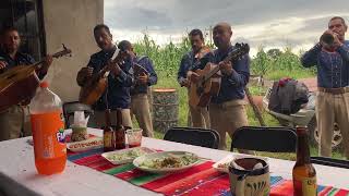 El collar de guamuchil mariachi los Copales [upl. by Lertnom]