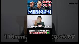 もっと評価されるべきルアー5選！シーバスは知っている！？ [upl. by Ynaffets]