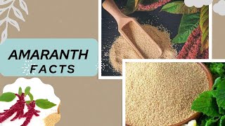 Amaranth Facts Super Food Nutritional Marvel [upl. by Sisco]