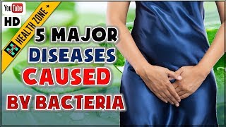 5 Major Diseases Caused by Bacteria [upl. by Ebba686]