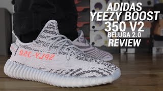 ADIDAS YEEZY BOOST 350 V2 BELUGA 20 REVIEW [upl. by Joshuah47]