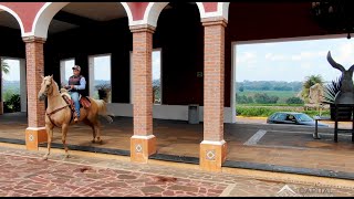 Rancho Tequilero Hacienda el Mexicano Mariachi Vargas [upl. by Jeffries]