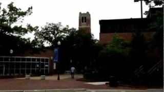 UF Campus  Century Tower University of Florida [upl. by Nylyak]