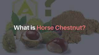 What is Horse Chestnut It’s Surprising Uses amp Benefits [upl. by Monahan444]