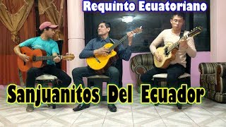 Mix Musica Ecuatoriana  Sanjuanitos De Oro  Hermanos Chamba [upl. by Arquit11]