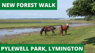 NEW FOREST WALK at PYLEWELL PARK near LYMINGTON NEW FOREST NATIONAL PARK [upl. by Entsirhc]