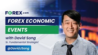 Forex Economic Events with David Song 10302024 [upl. by Iaria]