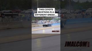 Turbo coyote Mustang has to be making 2000 hp… [upl. by Morrell]