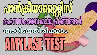 Amylase test malayalam  Pancreatic diseases  Digestive problems [upl. by Drawdesemaj740]