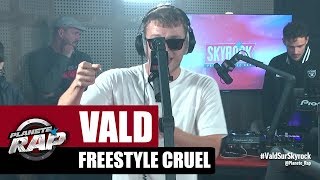 Vald  Freestyle Cruel RecordBattu PlanèteRap [upl. by Ribaudo]