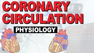 What is the PHYSIOLOGY of the coronary circulation [upl. by Nereus944]