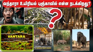 What is happening in Vandara Zoo  Prakash  Tamil  an Entertainment [upl. by Attaynek]