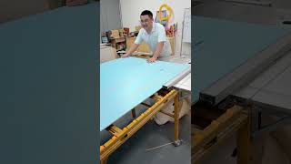 Transform Your Woodworking with DustFree Sliding Table Saws and Edging Machines [upl. by Haslam129]