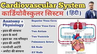 Cardiovascular System in hindi  Structure of Heart  Blood Circulation  SA Node AV Node  Artery [upl. by Yv]