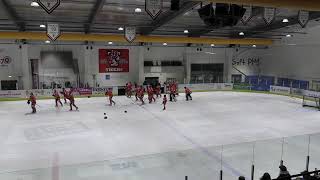 Telford Tigers 2 vs Kingston Sharks Live Stream  07012024 No Commentary [upl. by Leatrice]