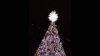 Silver Dollar City Christmas Tree lighting [upl. by Ladnyc105]