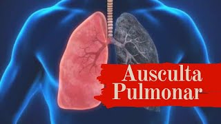 Ausculta Pulmonar  roncos sibilos estertores  ruídos adventícios [upl. by Eillod]