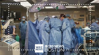 Doctors transplant pig kidney into man in Boston [upl. by Natalya]