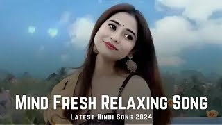 🎵 New Hindi Latest Song  2024  Bin Tere  Mind Fresh Hindi Song  SR Music Mashup [upl. by Charmine]