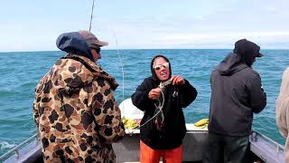 ALASKA HALIBUT FISHING NINILCHIK DEEP CREEK LAUNCH DAY 2 [upl. by Aneleh261]