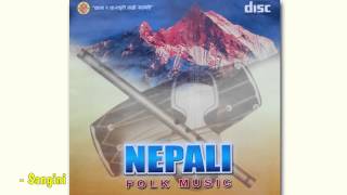 Sangini  Nepali Folk Music Instrumental [upl. by Madelon]