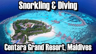 Snorkeling and Diving in and around Centara Grand Maldives [upl. by Obeded]