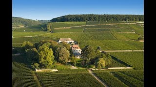 Louis Latour  An outstanding domaine [upl. by Willetta]