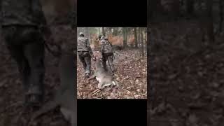 BIG New York BUCK DOWN Full video coming soon shorts [upl. by Herrmann]