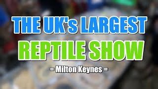 THE UKs LARGEST REPTILE SHOW [upl. by Aelahc]