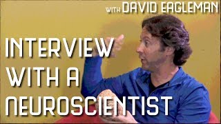 David Eagleman  Interview with a Neuroscientist [upl. by Uranie]