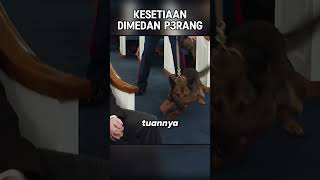 KESETIAAN TERAKHIR DIMEDAN P3RANG [upl. by Sivla]