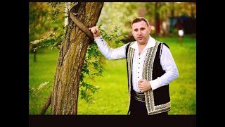 Cornel COJOCARU │ Am pierdut in viata multe │ LIVE Muzica de petrecere NOU │ [upl. by Kore47]